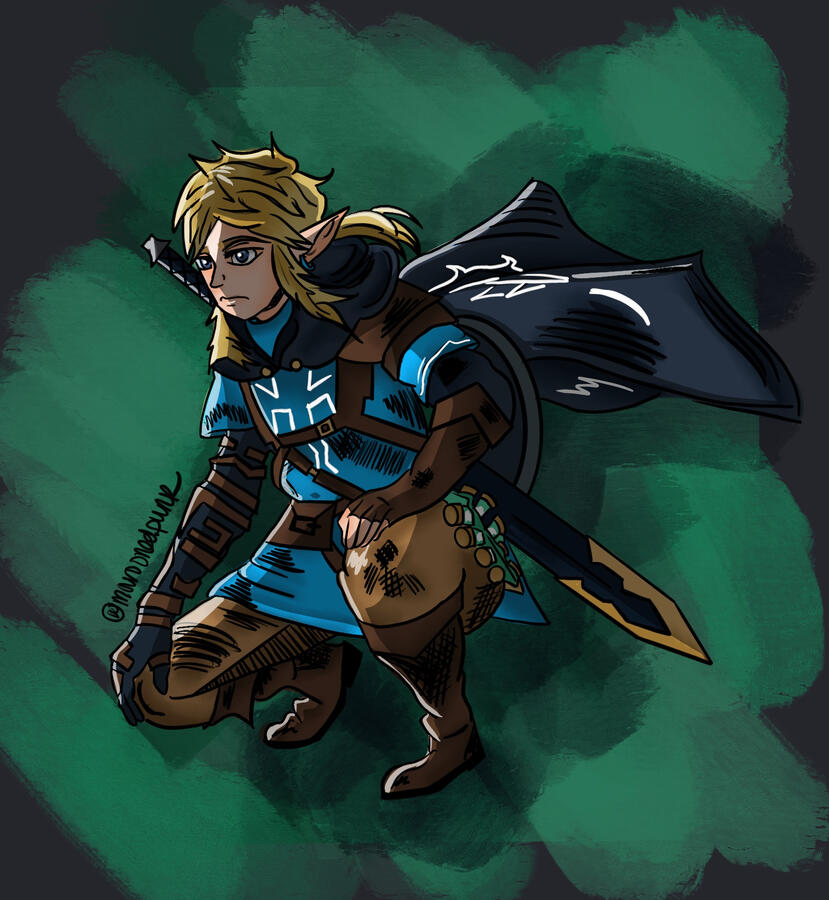 Link, Legend of Zelda